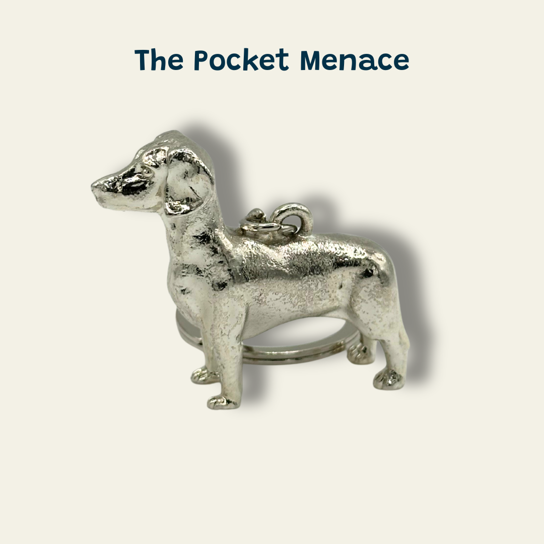 Dachshund - The Pocket Menace