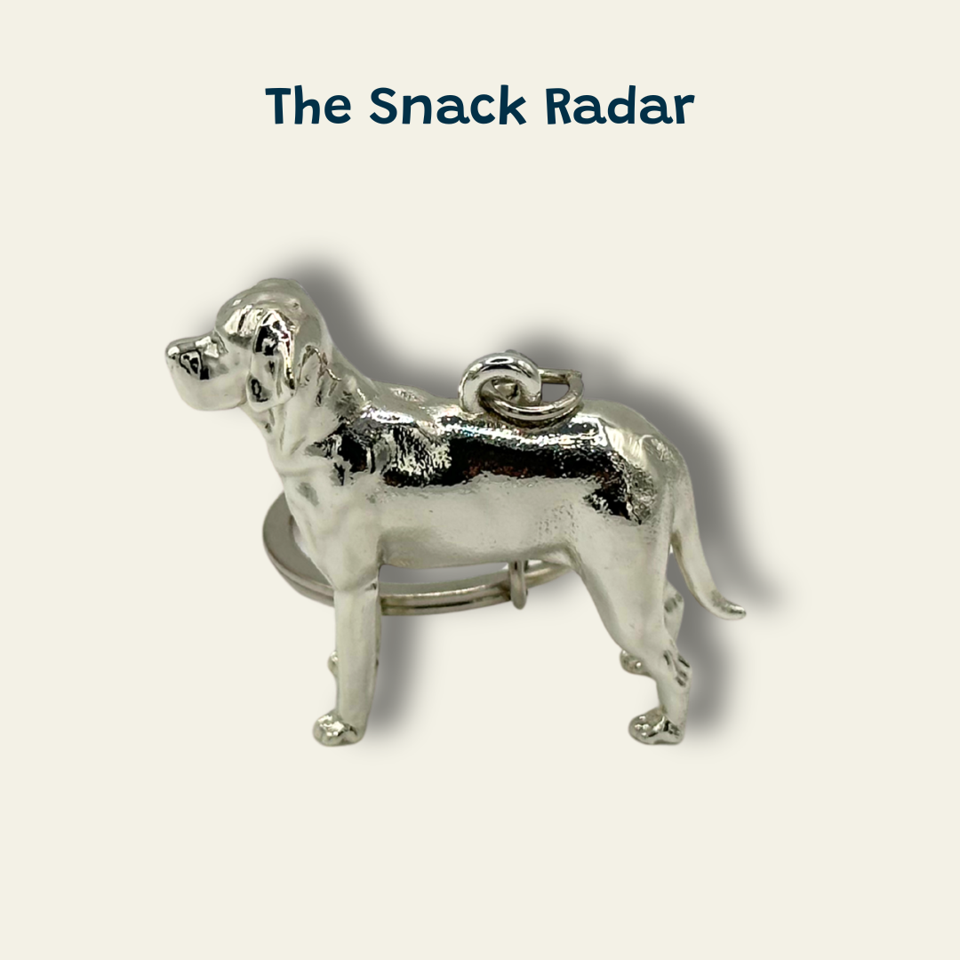 Labrador - The Snack Radar