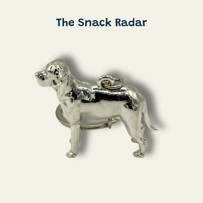 Labrador - The Snack Radar