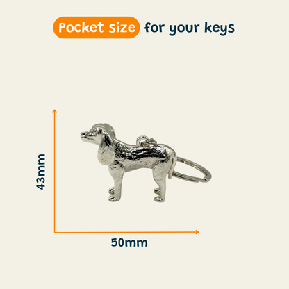 Spaniel - The Floppy Diplomat