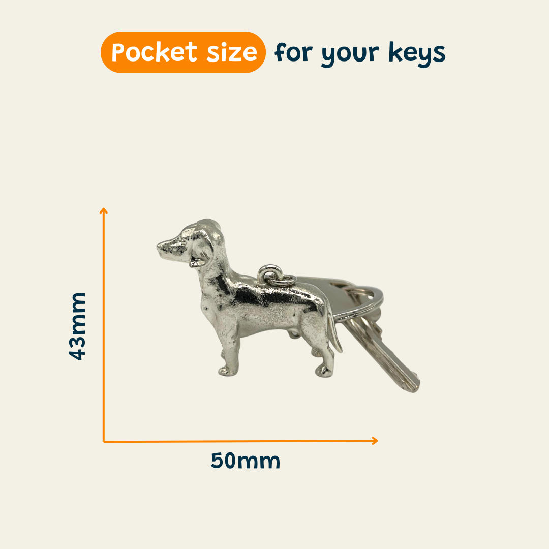 Dachshund - The Pocket Menace