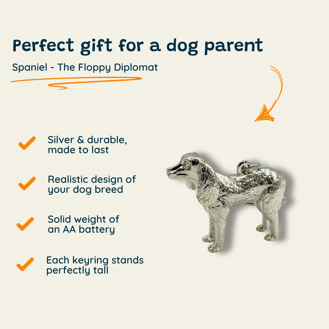 Spaniel - The Floppy Diplomat