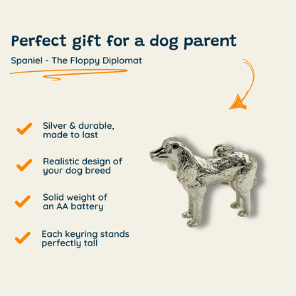 Spaniel - The Floppy Diplomat