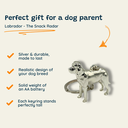 Labrador - The Snack Radar