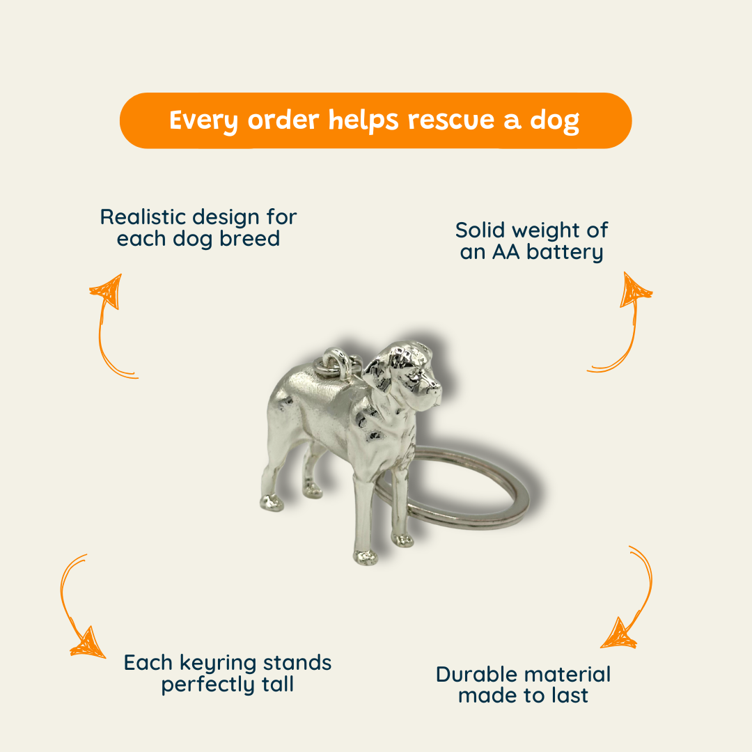 Labrador - The Snack Radar