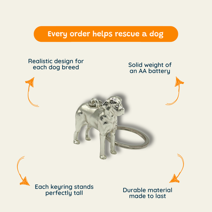 Labrador - The Snack Radar