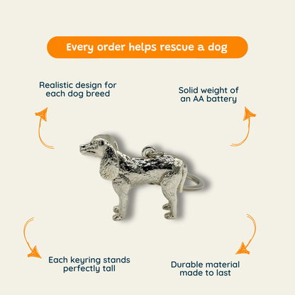 Spaniel - The Floppy Diplomat