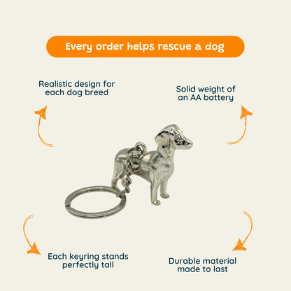 Dachshund - The Pocket Menace