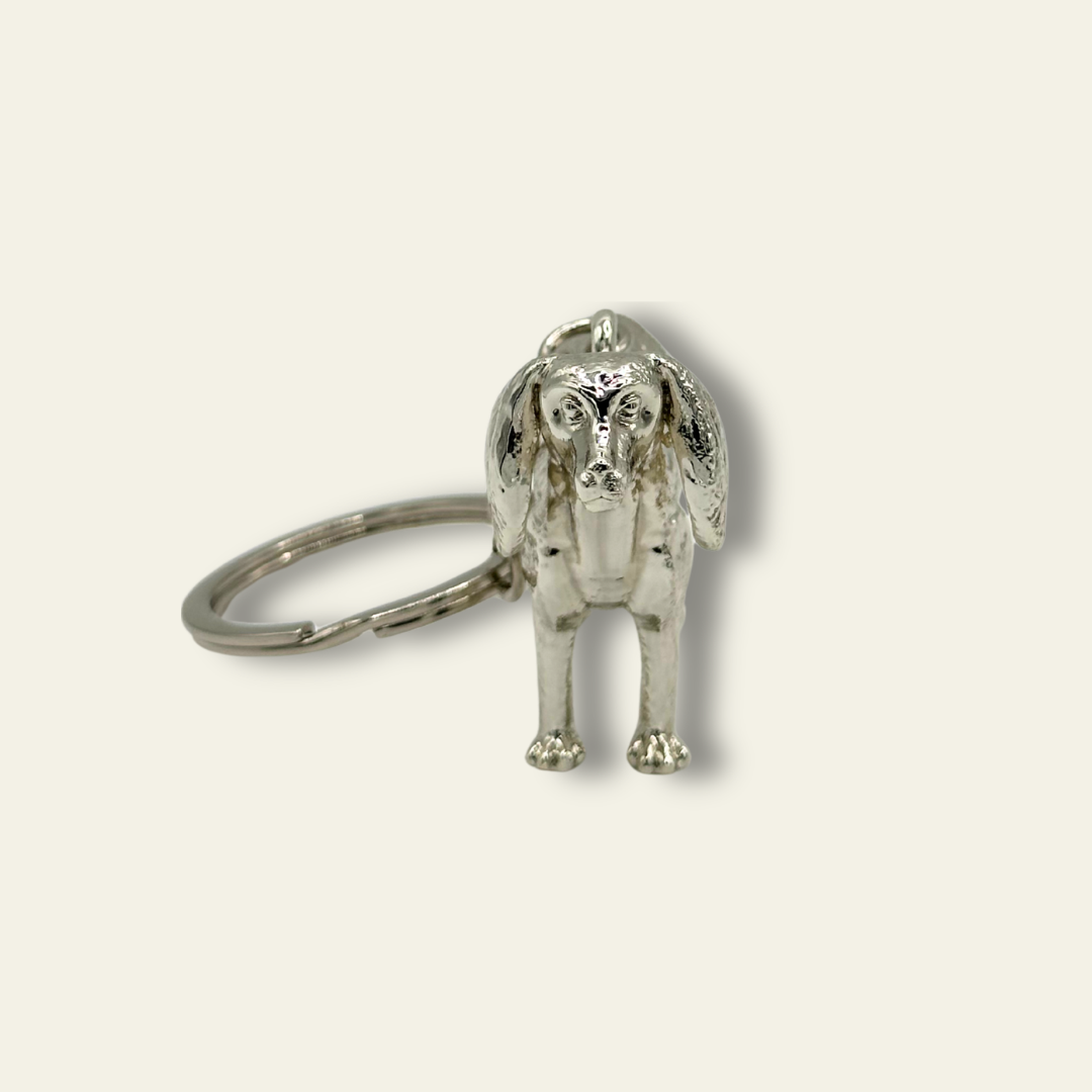 Spaniel - The Floppy Diplomat