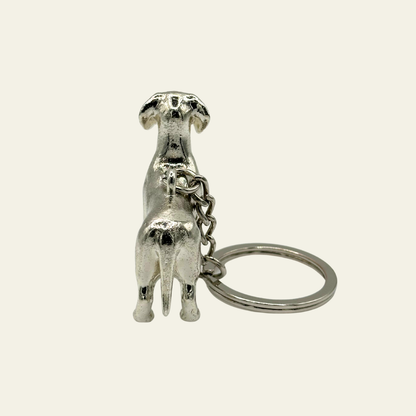 Dachshund - The Pocket Menace