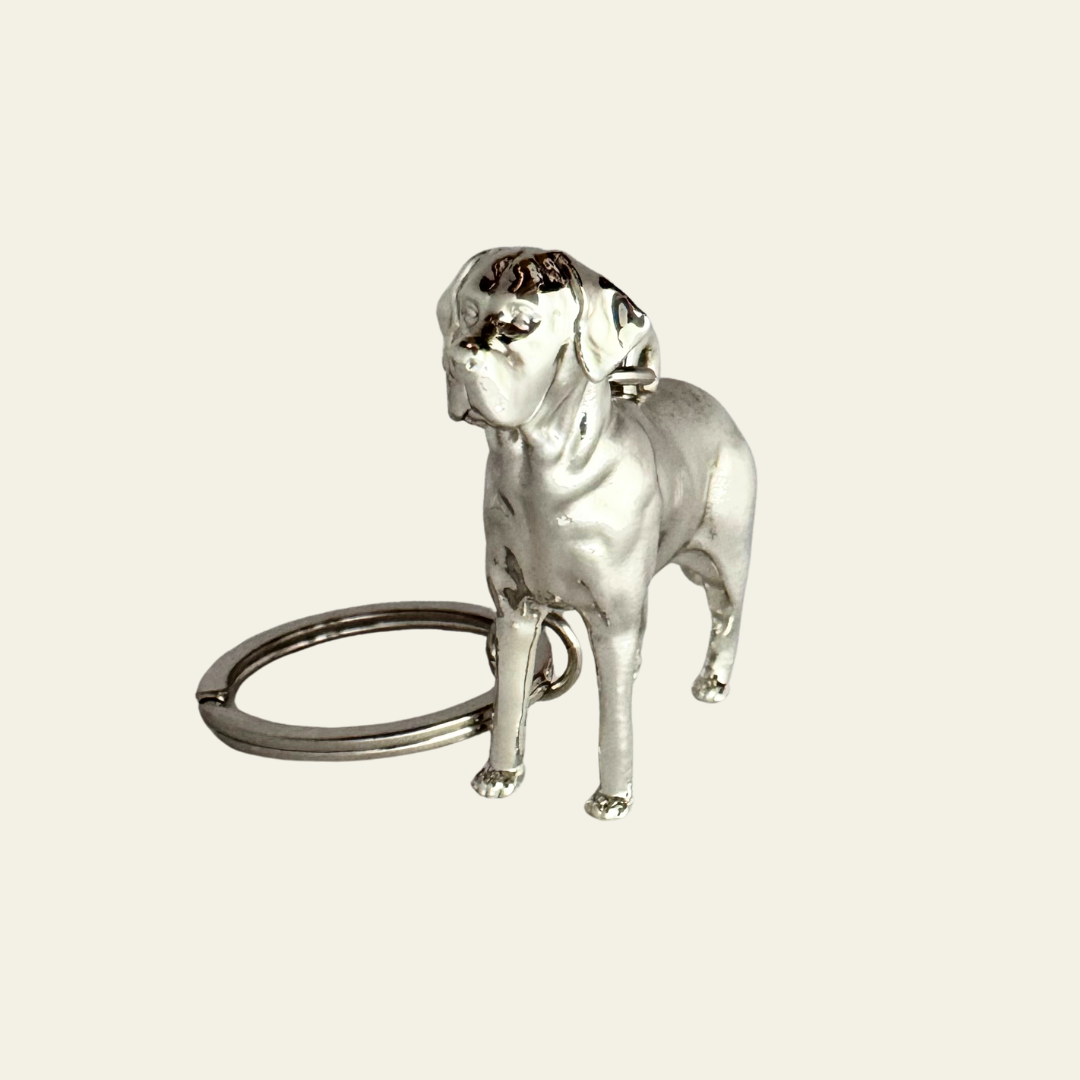 Labrador - The Snack Radar