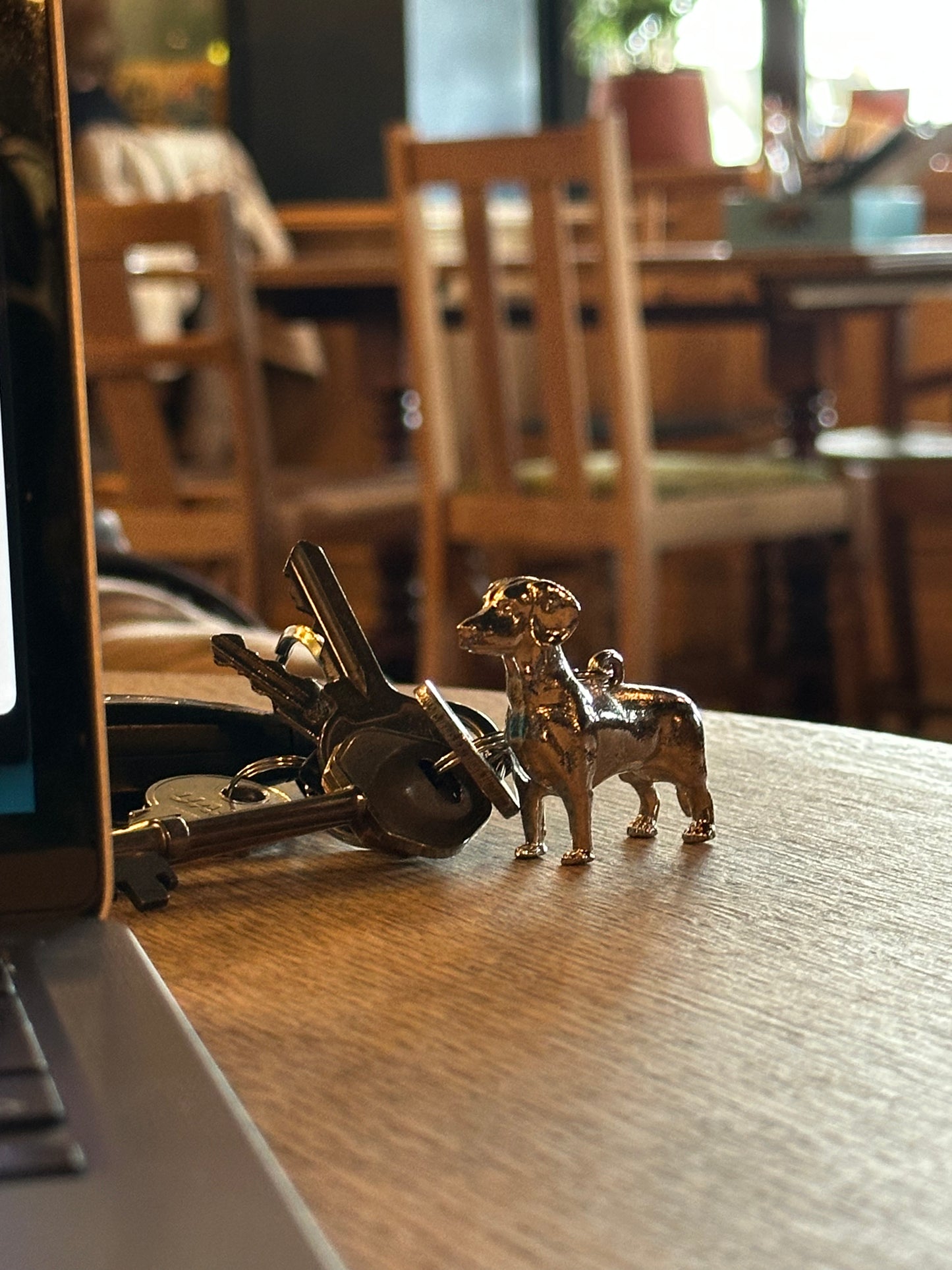 Dachshund - The Pocket Menace